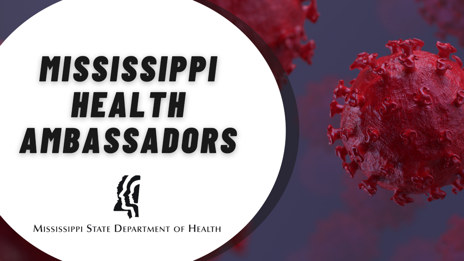 Mississippi Health Ambassador Initiative The Partnership for a